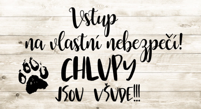 Dekorační obrázek na zavěšení 13 x 24 cm - Vstup na vlastní nebezpečí, chlupy jsou všude