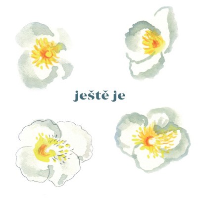 Vladimír Javorský - Ještě je LP