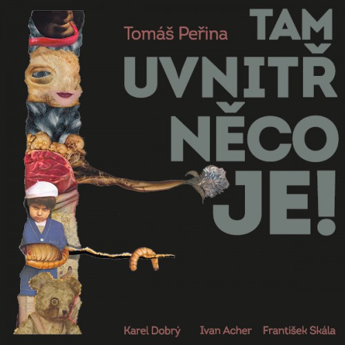 Tam uvnitř něco je (Tomáš Peřina) LP