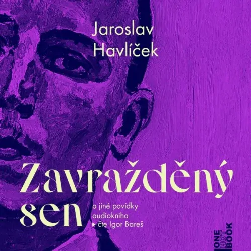 Zavražděný sen (Jaroslav Havlíček) CD/MP3