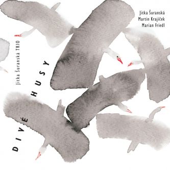 Jitka Šuranská Trio - Divé husy CD