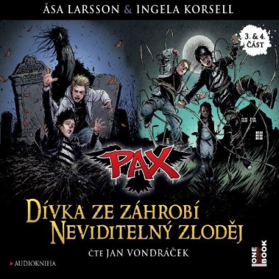 Dívka ze záhrobí & Neviditelný zloděj (Asa Larsson) CD/MP3