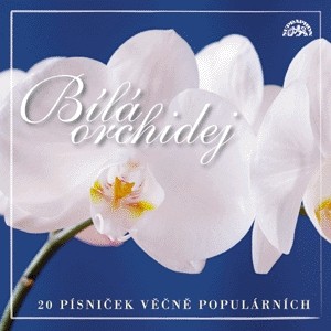 Bílá orchidej - 20 písniček CD