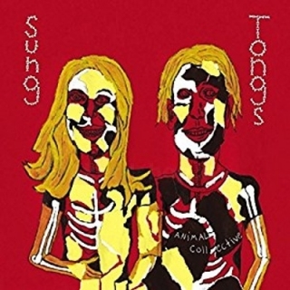 Animal Collective - Sung Tongs 2LP