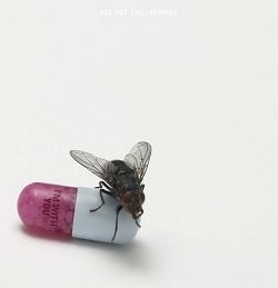 Red Hot Chili Peppers - I´m With You CD