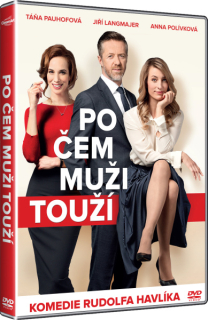 Po čem muži touží DVD