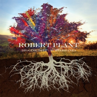 Robert Plant - Digging Deep: Subterranea 2CD
