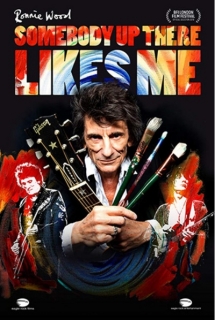 Ronnie Wood - Somebody Up There Likes Me DVD
