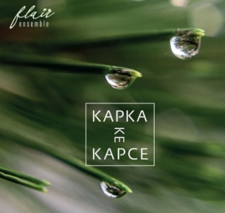 Flair Ensemble - Kapka ke kapce CD