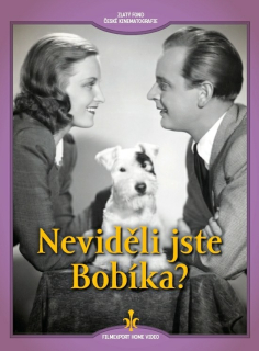 Neviděli jste Bobíka? DVD