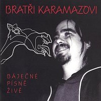 Bratři Karamazovi - Báječné písně živě CD