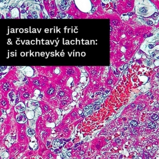 J.E.Frič Čvachtavý lachtan - Jsi orkneyské víno / Ropa 2CD