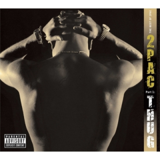 2Pac - Best Of 2Pac (Pt. 1: Thug) 2LP