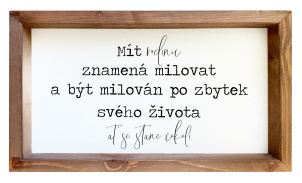 Dřevěný obraz 20 x 35 cm v rámečku - Mít rodinu
