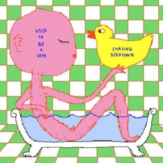 Used To Be a Sofa - Chasing Serotonin CD