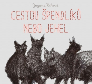 Cestou špendlíků nebo jehel (Zuzana Říhová) CD/MP3