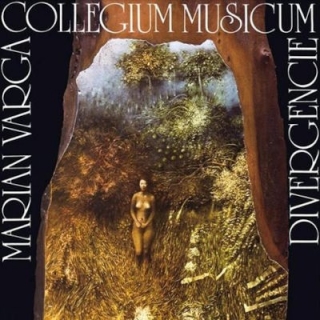 Collegium Musicum - Divergencie 2LP
