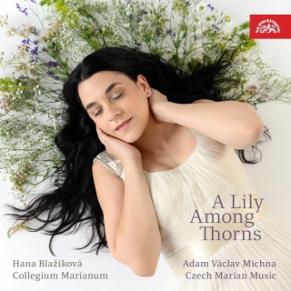 Michna: Mariánská muzika CD