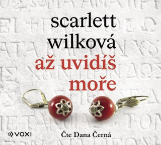 Až uvidíš moře CD/MP3