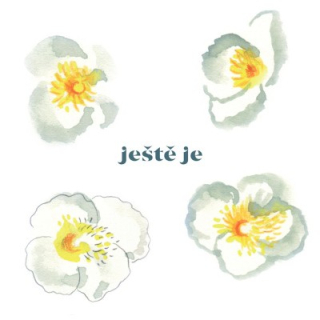 Vladimír Javorský - Ještě je LP