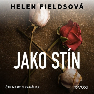Jako stín (Helen Fieldsová) 2CD/MP3