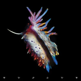 Sub Focus - Evolve CD
