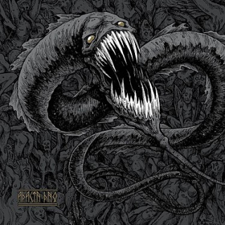Adacta - Dno LP