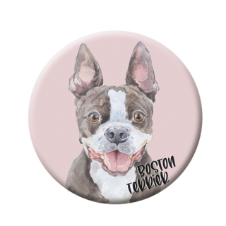 Button (placka) se špendlíkem 44 mm - Boston Terrier