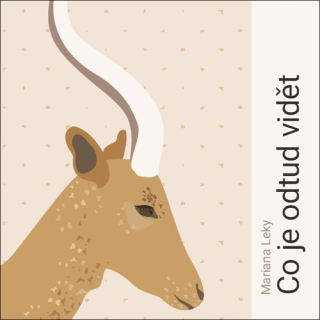 Co je odtud vidět (Mariana Leky) CD/MP3
