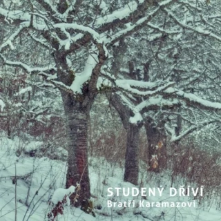 Bratři Karamazovi - Studený dříví CD