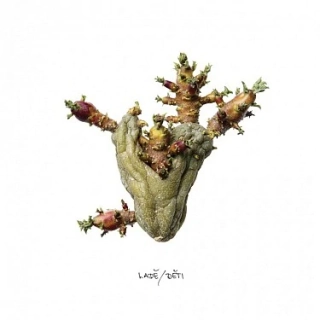 Ladě - Děti CD