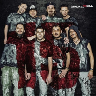 Divokej Bill - 15 LP