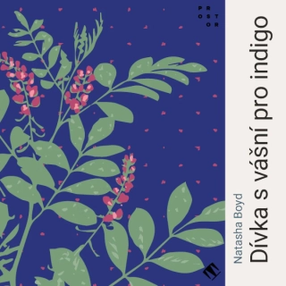 Dívka s vášní pro indigo (Natasha Boyd) CD/MP3
