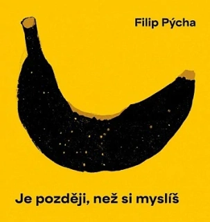 Filip Pýcha - Je později, než si myslíš CD