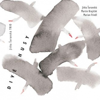 Jitka Šuranská Trio - Divé husy CD