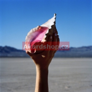 Killers - Wonderful Wonderful CD