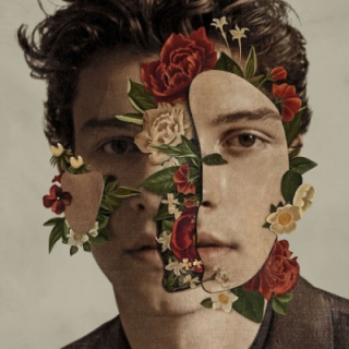 Shawn Mendes - Shawn Mendes CD