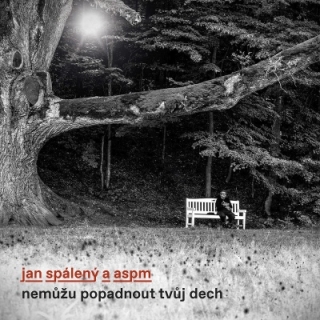 Jan Spálený & ASPM - Nemůžu popadnout tvůj dech CD