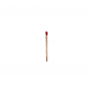 Rammstein - Rammstein 2LP
