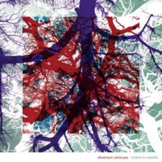 Silversun Pickups - Widow's Weeds CD