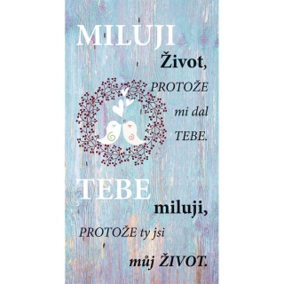 Dekoračn obraz 20 x 40cm - Miluji život