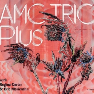 AMC Trio - Plus CD