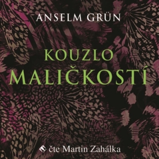 Kouzlo maličkostí (Anselm Grün) CD/MP3