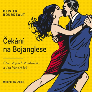 Čekání na Bojanglese (Olivier Bourdeaut) CD/MP3