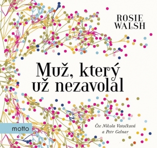 Muž, který už nezavolal (Rosie Walsh) CD/MP3