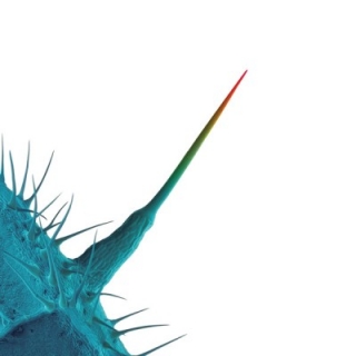 Peter Gabriel - And I'Ll Scratch Yours CD
