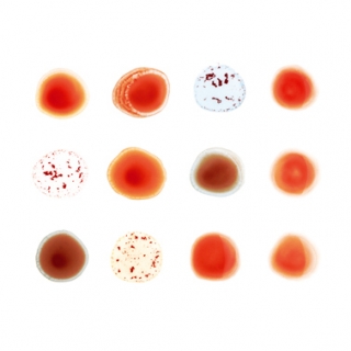 Peter Gabriel - Scratch My Back/And I´Ll Scratch Yours 2CD